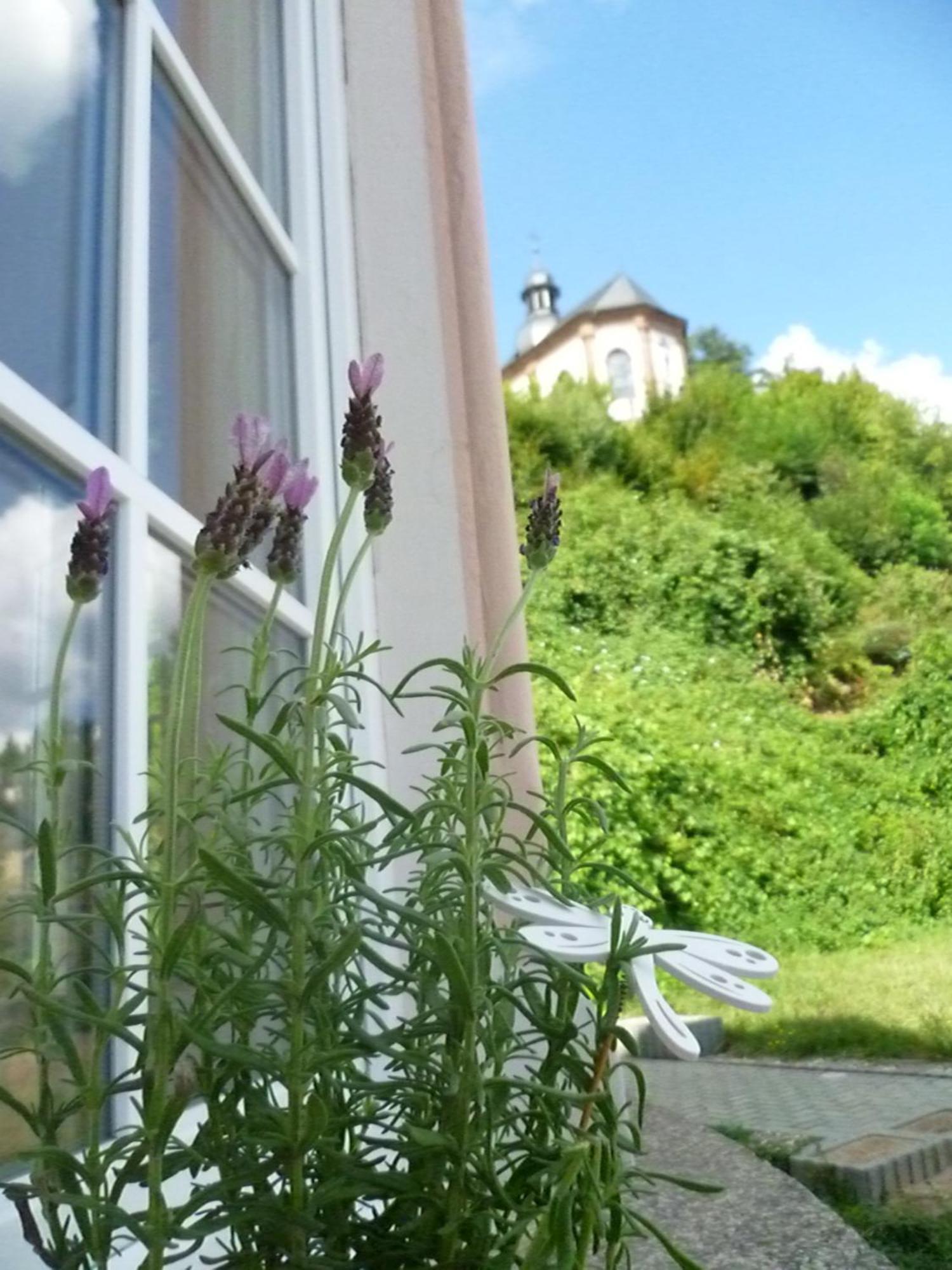 Moderne Wohnung In Barockem Altstadthaus Nahe Altstadt Und Radweg Blieskastel Eksteriør bilde