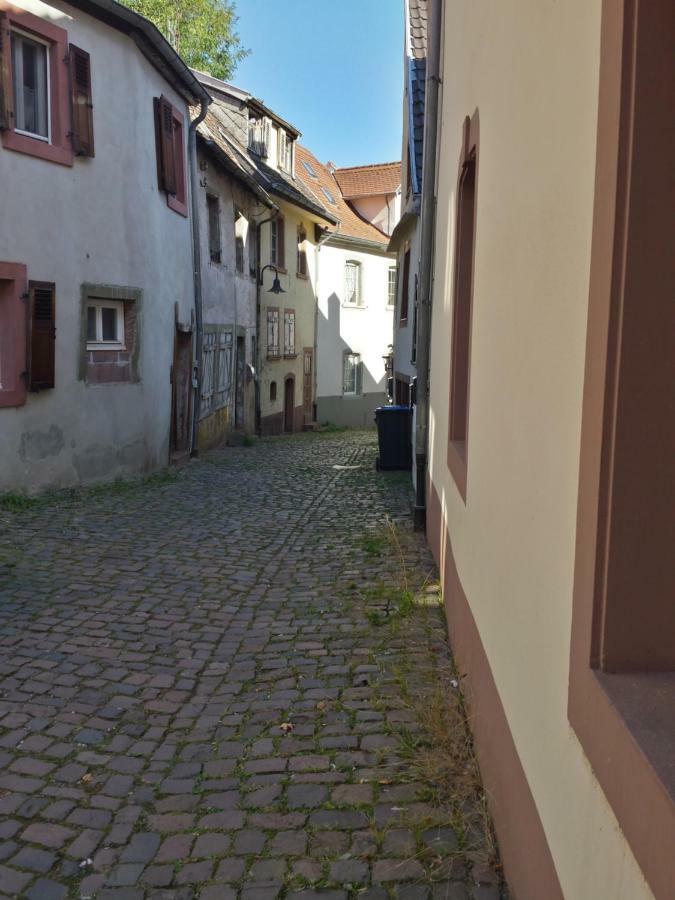 Moderne Wohnung In Barockem Altstadthaus Nahe Altstadt Und Radweg Blieskastel Eksteriør bilde