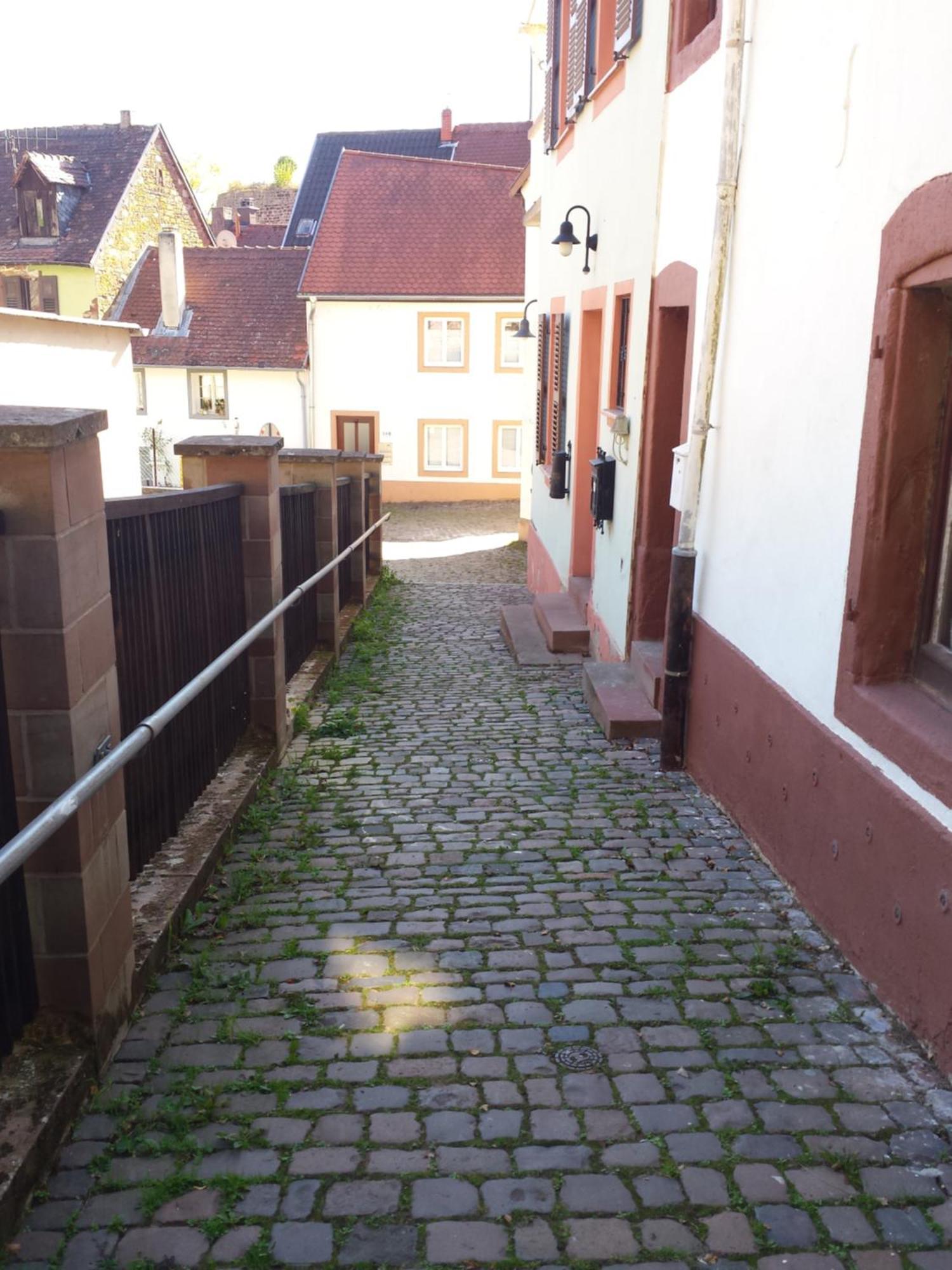 Moderne Wohnung In Barockem Altstadthaus Nahe Altstadt Und Radweg Blieskastel Eksteriør bilde